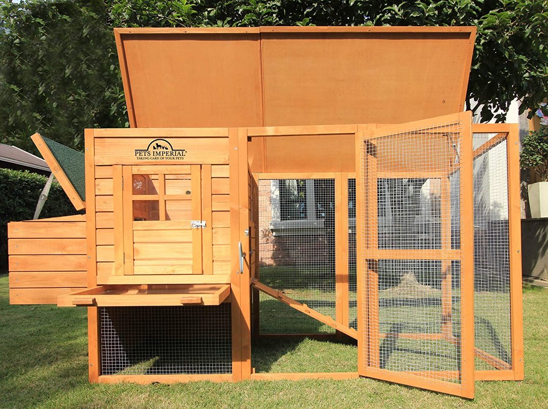 Chicken House Chicken House Poultry Box