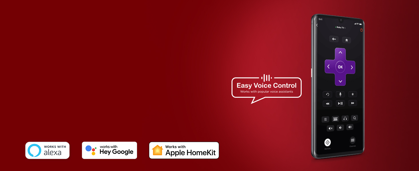 Easy Voice Control
