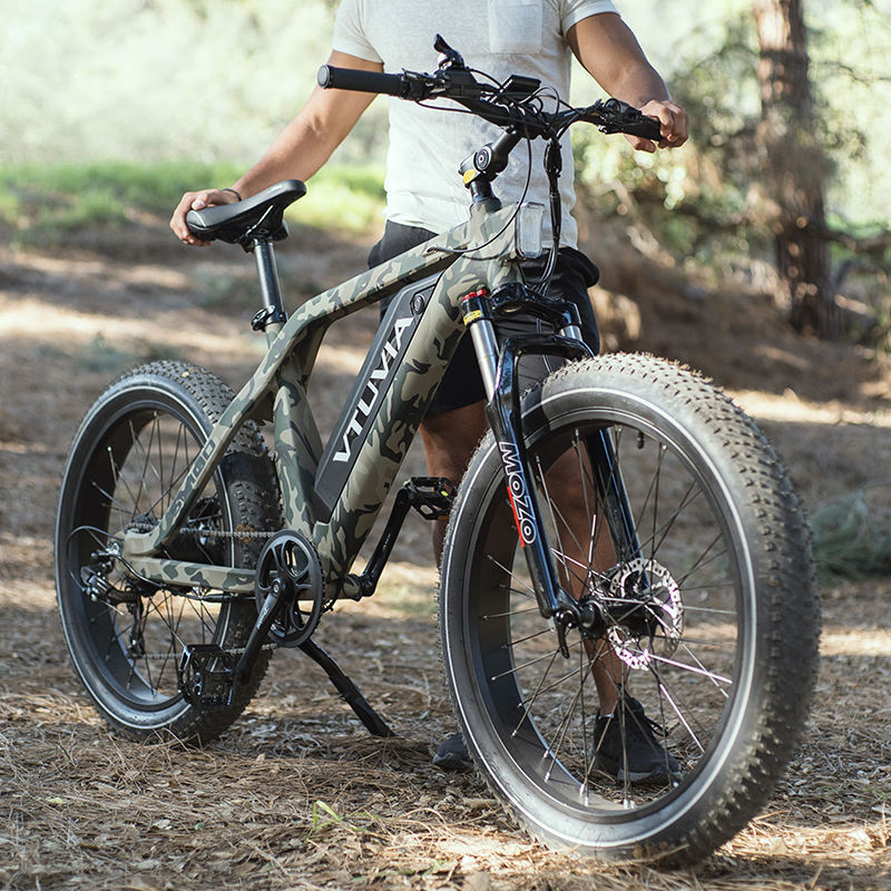 264.0 750W 1000W big power Fat tire electric Mountain E bikeSnow bikeelectric bicycle with CE